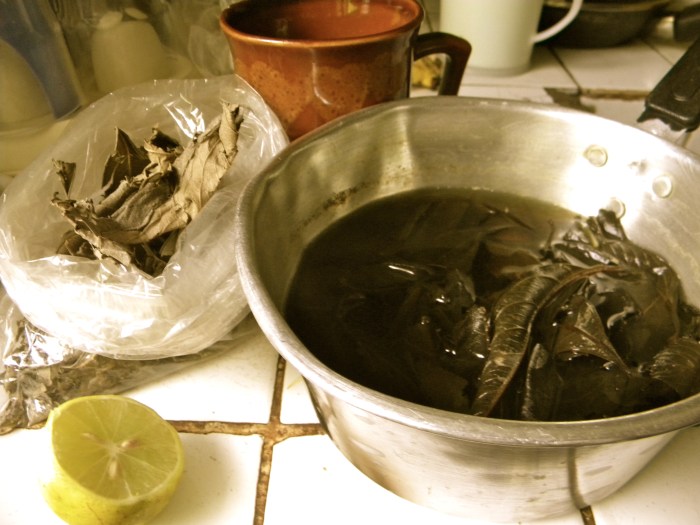 kenkeliba tea traditional drink Mali curative herbal West Africa