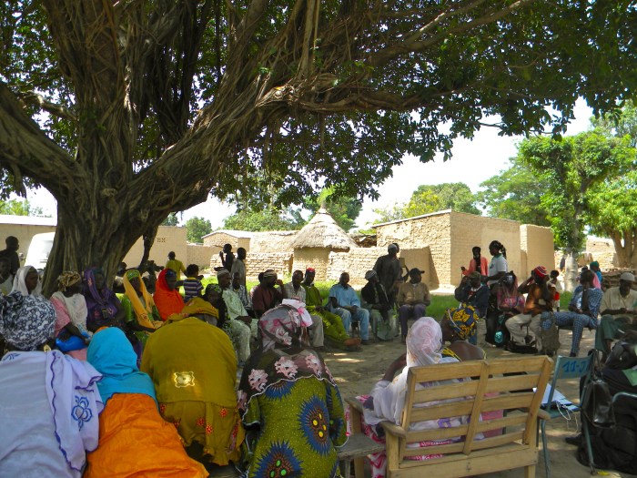 Mali village meeting tree