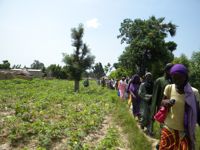 rural Mali village agriculture field