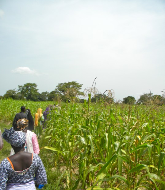 rural Mali village walk