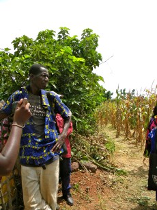 agriculture Mali rural