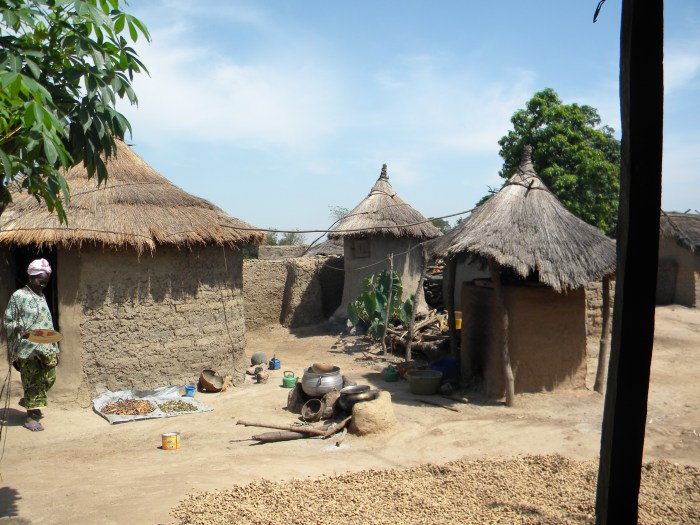 Mali rural village traditional home hut West Africa
