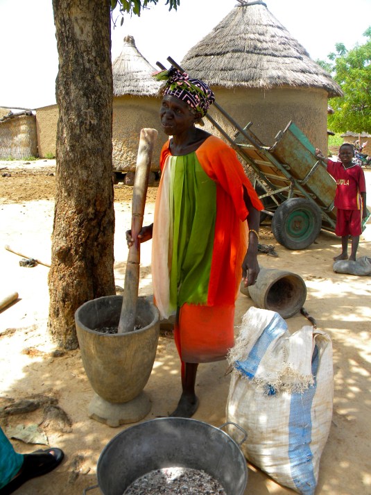 Rural village agriculture Mali woman work beans harvest