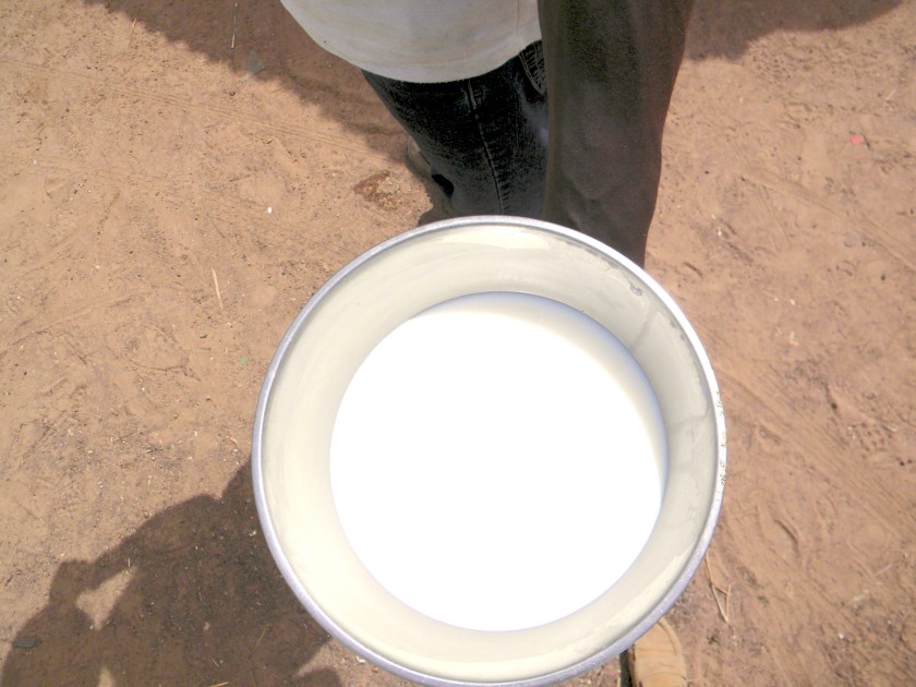 Mali village rural fresh milk gift