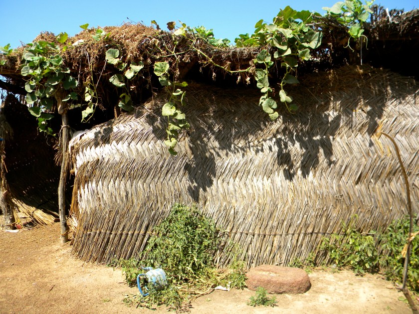 Mali rural village shelter home weave traditional hut