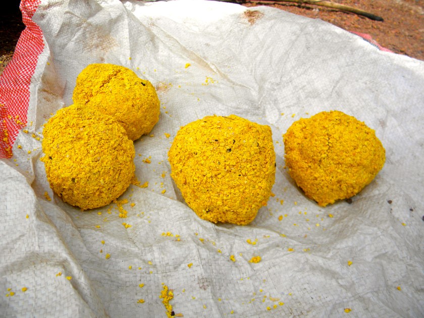 Mali rural indigenous knowledge medicinal nere tree nutrition