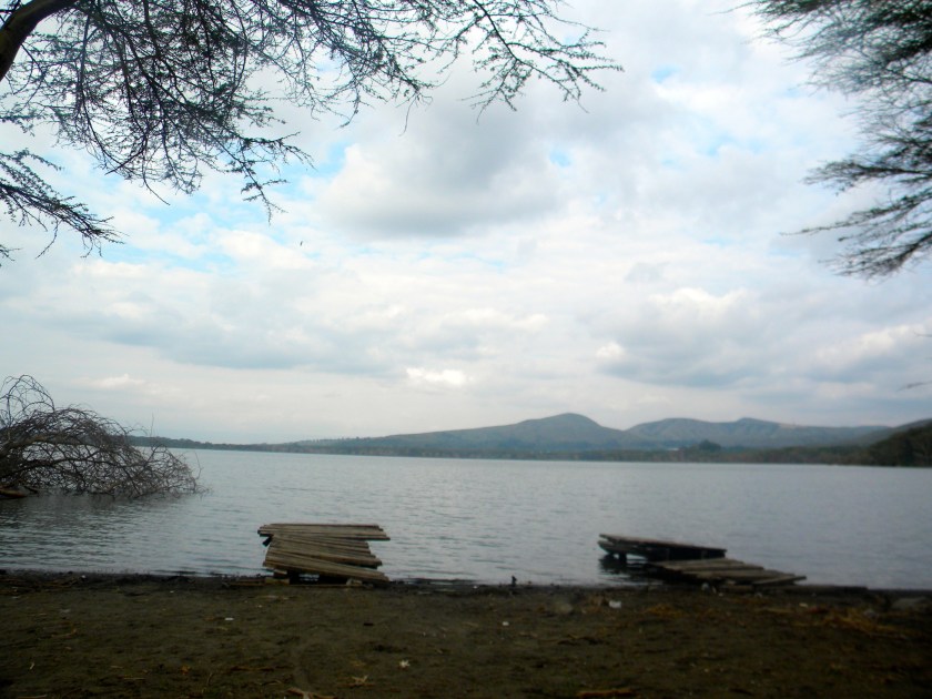 Kenya Rift Valley lake Nakuru soda dock