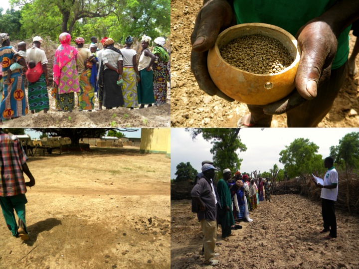 agriculture Mali rural farmers training