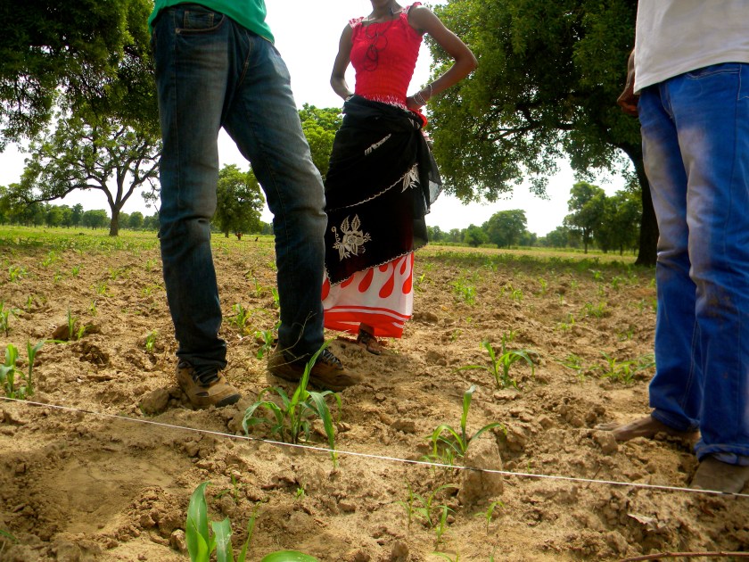 Mali rural village agriculture field training monitoring