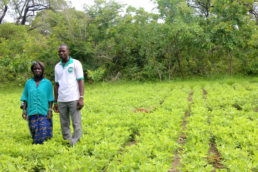 Mali rural field agriculture farmer training woman