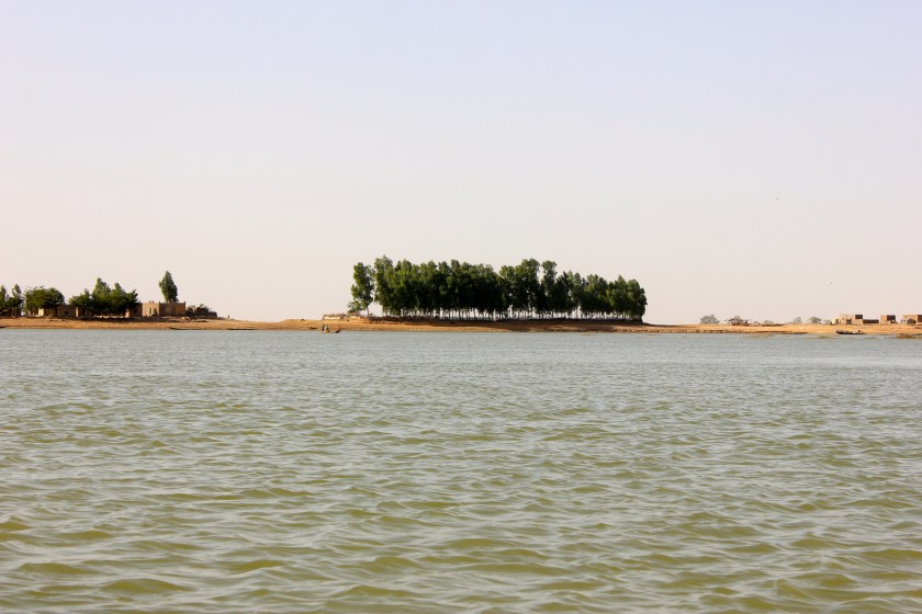 Mali Mopti island Niger river fleuve tree