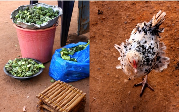 Mali Bamako market vegetable okra gumbo chicken