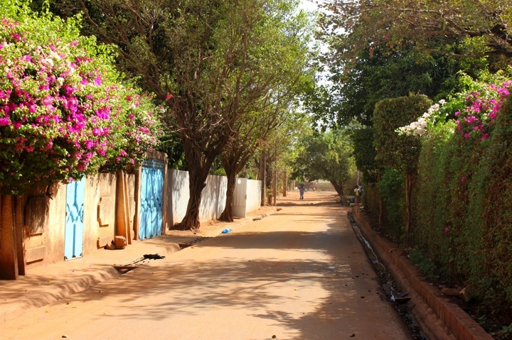 Mali Bamako neighborhood street road bougainvillea flower home house