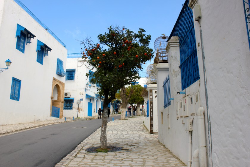Tunisia La Marsa Sidi Bou Said Tunis orange fruit tree street local traditional