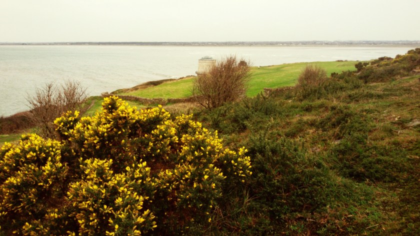 C360_2015-12-18-10-15-01-284