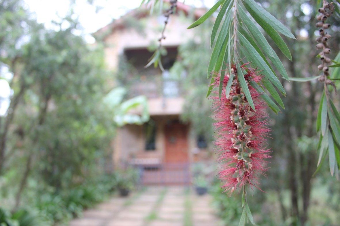 Kenya Anga Afrika colonial architecture