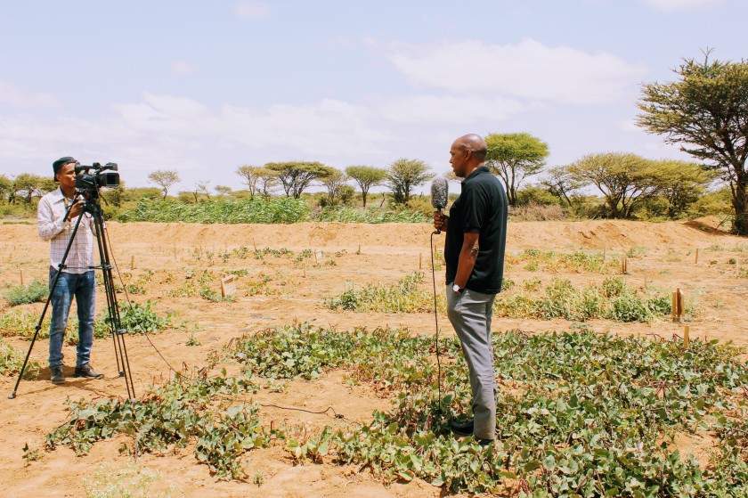 Somaliland Africa Somali news reporting agriculture field interview