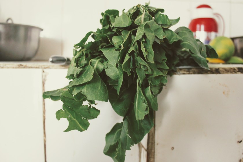 spinach counter kitchen cooking greens