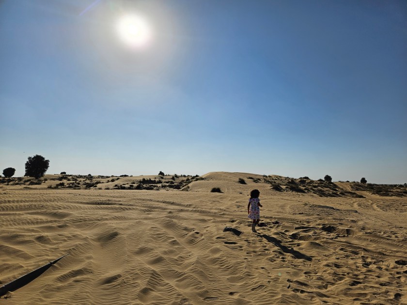 Stranded at the edge of the asphalt.